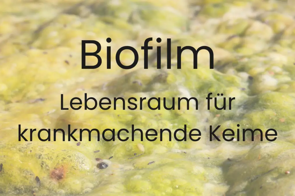 Biofilm auf Innenwand einer Wasserleitung mit bakteriellen Ablagerungen – mikroskopische Darstellung