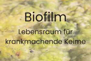 Biofilm auf Innenwand einer Wasserleitung mit bakteriellen Ablagerungen – mikroskopische Darstellung